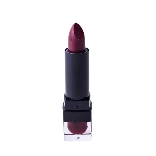 Anashe Perfect Lip 113