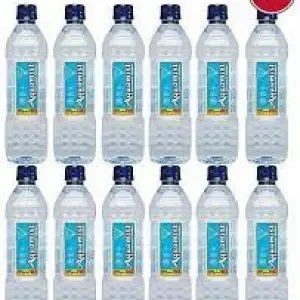 Aquamist Water 300Ml * 24S