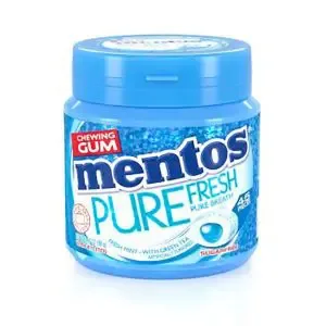Mentos Pure Fresh Blister Pack Fresh Mint 14G